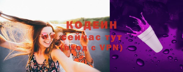 прущие грибы Балахна
