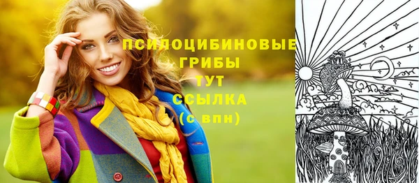 прущие грибы Балахна