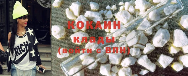 прущие грибы Балахна