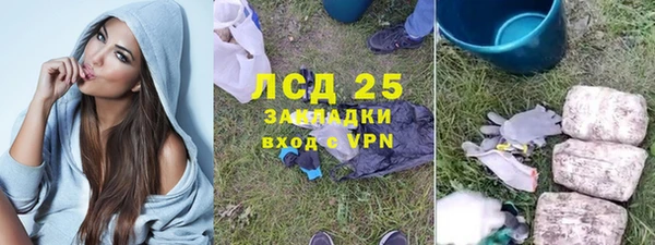 прущие грибы Балахна