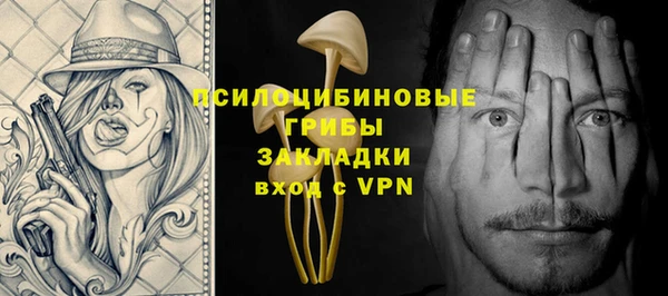 прущие грибы Балахна