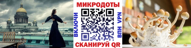 Галлюциногенные грибы прущие грибы  Белёв 